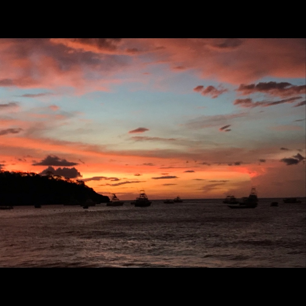 Meet your Posher, Deana